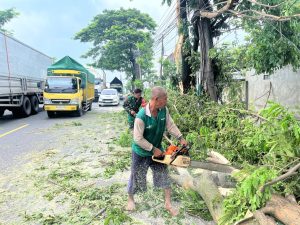 IMG-20250122-WA0138