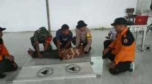 IMG-20250228-WA0044