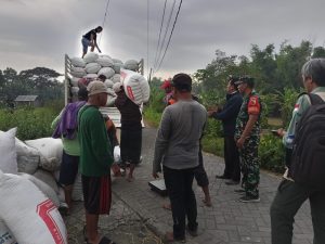 IMG-20250510-WA0052