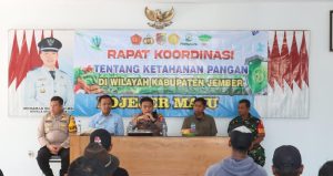 IMG-20250614-WA0013