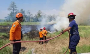 Foto-kebakaran-karena-kekeringan-di-kopas-629394563