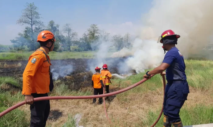 Foto-kebakaran-karena-kekeringan-di-kopas-629394563