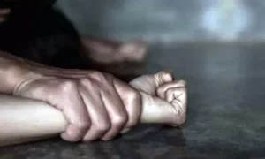 Ilustrasi-rudapaksa-89650320