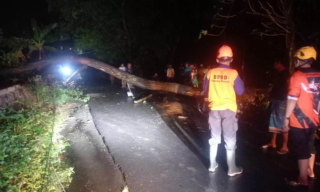 Foto-evakuasi-pohon-3941643741