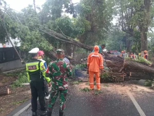 WhatsApp-Image-2025-10-26-at-170348-2963508036