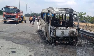 elf-terbakar-1761120466