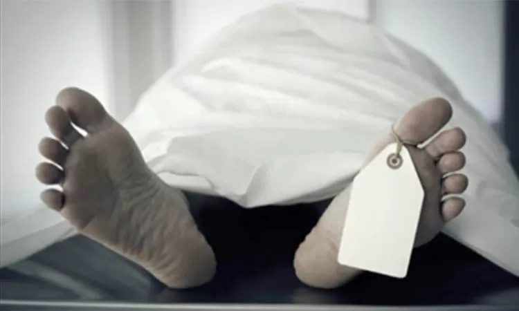 ILUSTRASI-3770031550