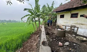 f-pagar-sdn-sumberejo-ii-3524570436