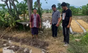 f-petugas-dari-Polsek-Pandaan-datang-dan-cek-TKP-lokasi-tempat-Chudori-meninggal-di-sawahfrom-Polsek-Pandaan-4142284965