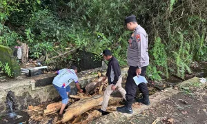 f-pohon-roboh-menimpa-warga-saat-mencuci-baju-akhirnya-meninggal-dunia-berada-di-Sumber-Mentiran-Dusun-Kebunjati-Desa-Sentul-Kecamatan-Purwodadi-2from-Polsek-Purwodadi-4256371024