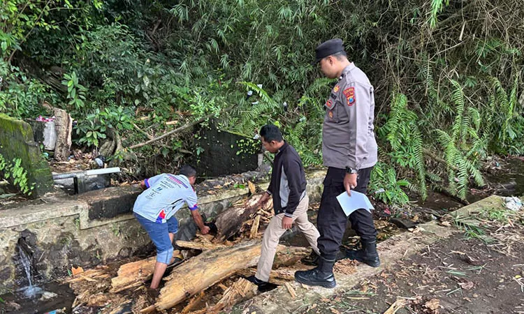f-pohon-roboh-menimpa-warga-saat-mencuci-baju-akhirnya-meninggal-dunia-berada-di-Sumber-Mentiran-Dusun-Kebunjati-Desa-Sentul-Kecamatan-Purwodadi-2from-Polsek-Purwodadi-4256371024