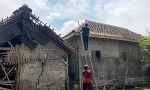 ft-puting-beliung-lekok-web-769962727