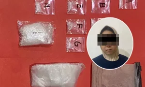 Wanita-Penjual-SS-2484739726