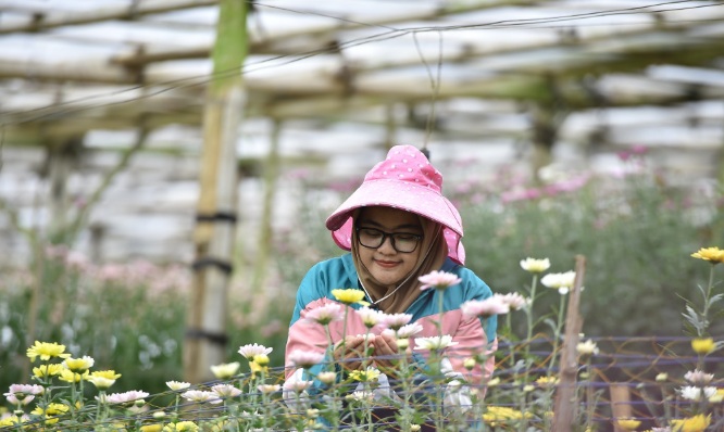 WhatsApp Image 2026-01-20 at 17.33.16