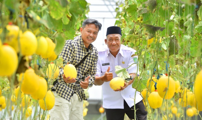 WhatsApp Image 2026-01-20 at 17.33.16