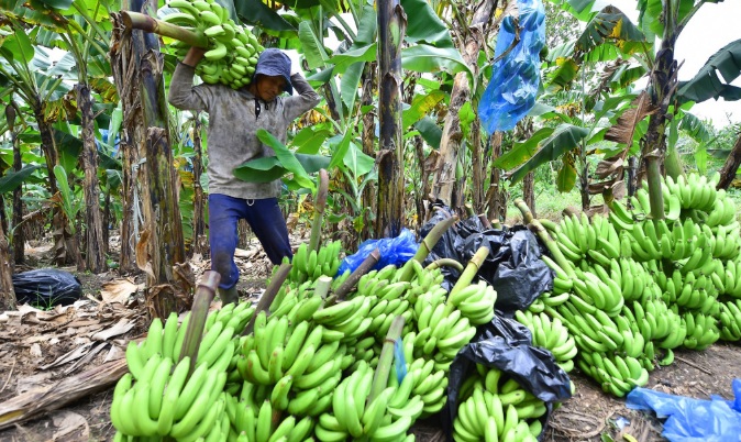 WhatsApp Image 2026-01-20 at 17.33.16