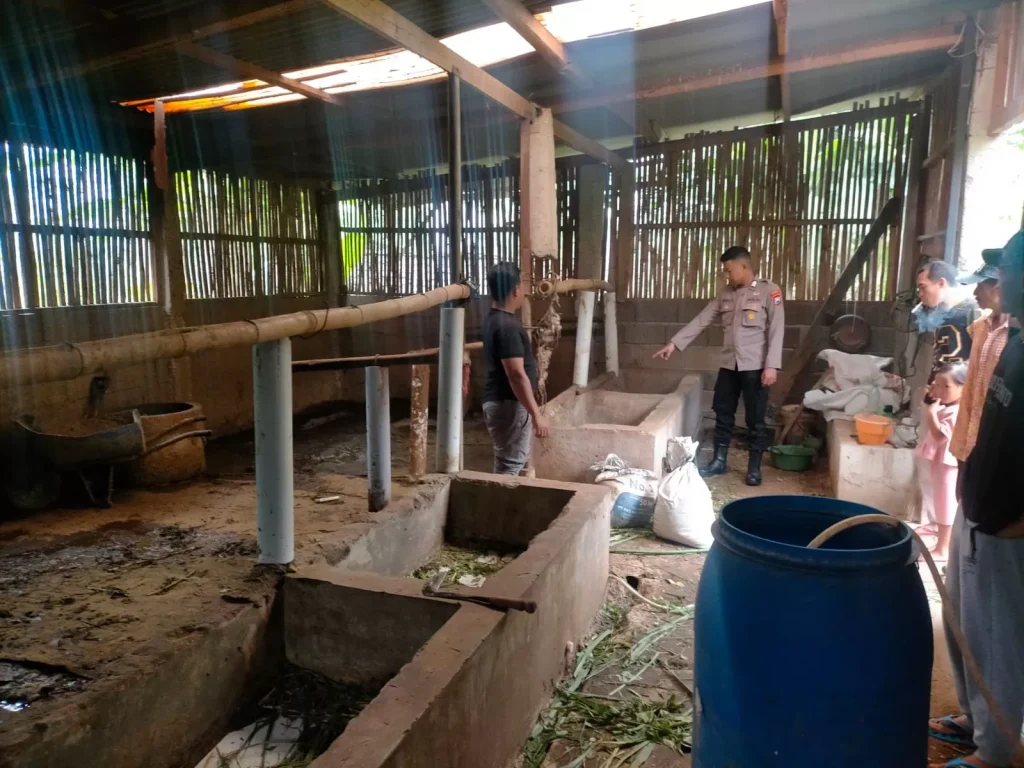 f-anggota-Polsek-Prigen-datang-dan-cek-TKP-kasus-curhewan-di-Desa-Watuagung-Kecamatan-Prigen-1from-Polsek-Prigen-495157629