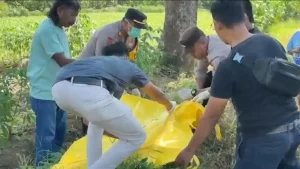 evakuasi-anggota-polsek-kejayan-mengevakuasi-jenazah-tiyama-dari-area-pesawahan-di-desa-ketangirejo-senin-274-siang-RA7yQ