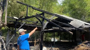 hangus-kondisi-kandang-sapi-milik-warga-lekok-yang-hangus-terbakar-N3lAm