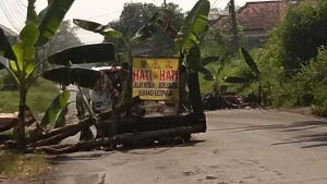 hhh (2)