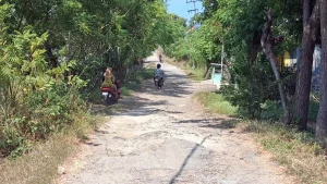 makadam-jalan-desa-watuprapat-kecamatan-nguling-yang-rusak-parah-tahun-ini-perbaikan-jalan-setempat-akan-diperbaiki-fuad-alyzenradar-bromo-2JQ4e