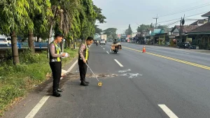 olah-tkp-personel-satlantas-di-jalan-raya-gempol-tepatnya-di-legok-lokasi-laka-lantas-pemotor-tabrak-dump-truk-foto-satlantas-polres-pasuruan-for-jawa-pos-radar-bromo-2sR4z