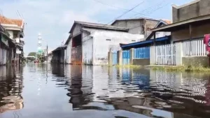 sebelum-surut-personel-satpolairud-berjalan-di-genangan-akibat-banjir-rob-di-jalan-mt-haryono-kelurahan-mandaranrejo-senin-185-pagi-foto-fuad-alyzen-jawa-pos-radar-bromo-gZKZs