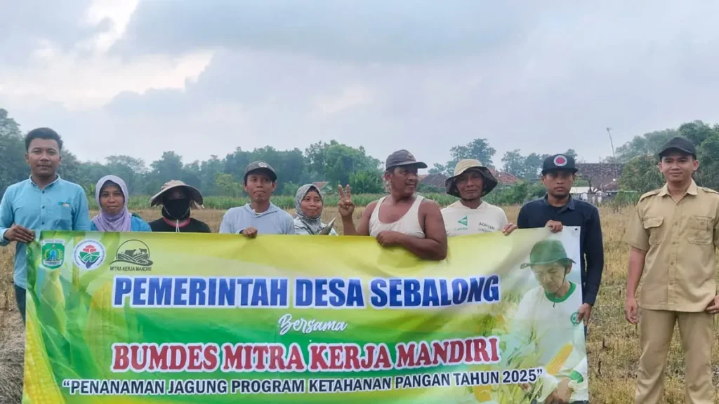 swasembada-pangan-penanaman-jagung-di-desa-sebalong-dukung-program-ketahanan-pangan-yang-digencarkan-pemerintah-pusat-foto-pemdes-sebalong-for-jawa-pos-radar-bromo-OuRpa