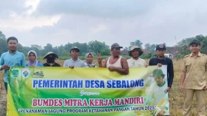 swasembada-pangan-penanaman-jagung-di-desa-sebalong-dukung-program-ketahanan-pangan-yang-digencarkan-pemerintah-pusat-foto-pemdes-sebalong-for-jawa-pos-radar-bromo-OuRpa