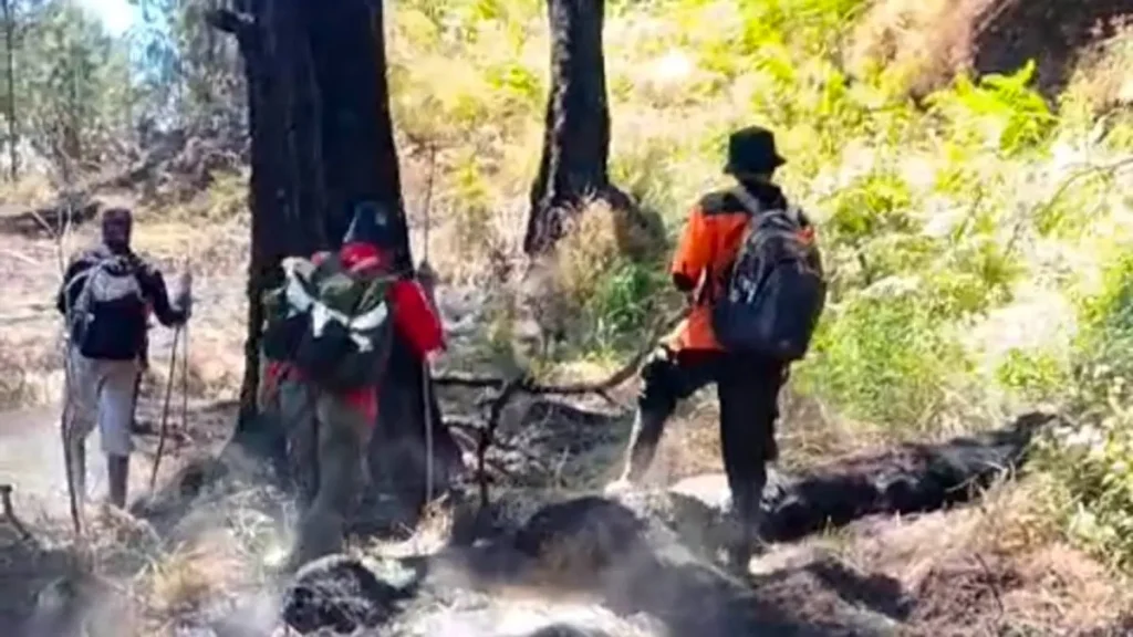 penyisiran-petugas-dari-polisi-hutan-polhut-bersama-relawan-dari-masyarakat-peduli-api-mpa-saat-melakukan-penyisiran-di-kawasan-gunung-arjuno-istimewa-VZGc7